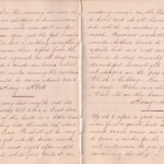 8th October 1878 - 12th day