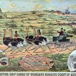 Australia? circa 1880...