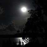 Blue Moon