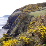 Solway Firth Coastal Walk