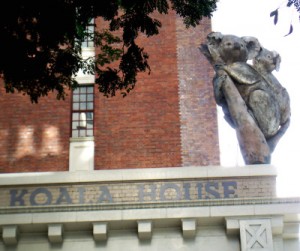 Koala