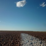 Kicking the Black Dog across Australia