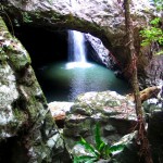 Natural Bridge, Springbrook, Queensland - Photo