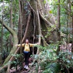 Traveller's Tweet Up in Australia's Rainforest