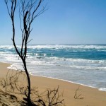 Pacific Ocean ~ Looking East