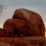The Expanse of the Barkly Tableland