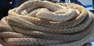 Sea Ropes