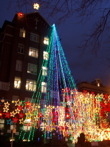 Christmas tree lights