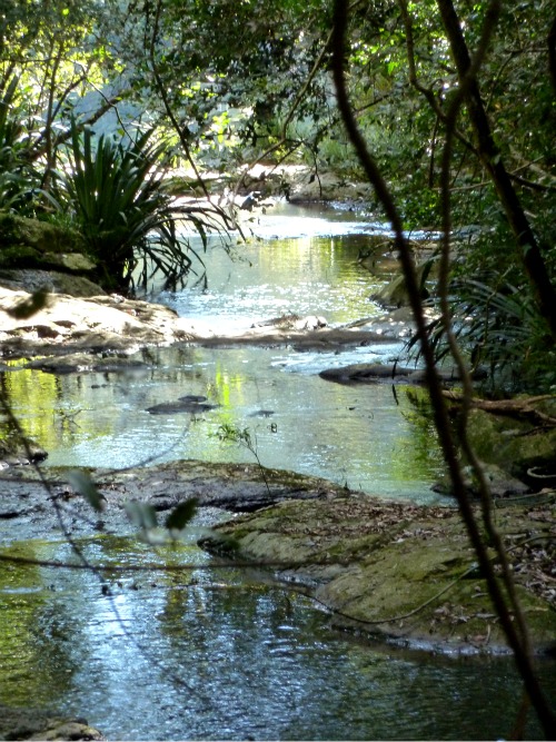 Moran's Falls, Green Mountain, Queensland