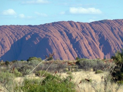 Uluru Ayers Rock Australia image