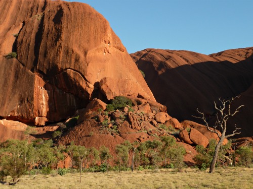 Uluru Australia Ayers Rock 