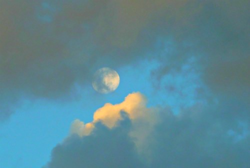 Kata Tjuta full moon