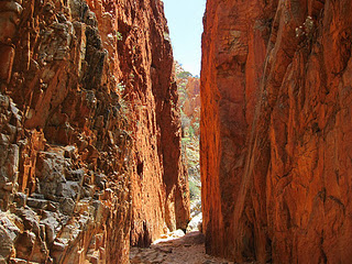 Looking down between the shear sides of Standley Chasm