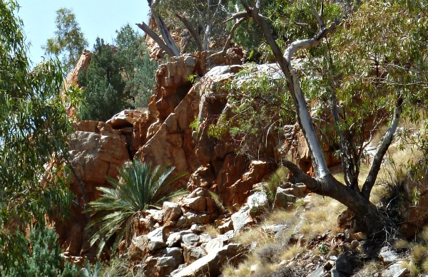 The rugged Red Centre seen here near the path to Standley Chasm