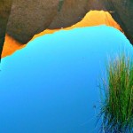 Uluru Waterhole