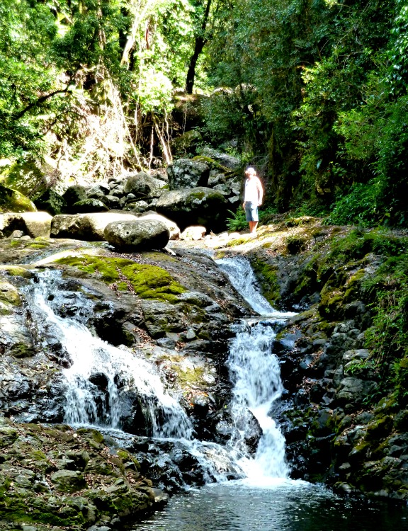 Biophilia - that wonderful feeling of being at one with nature illustrated here by a waterfall in lamington national park