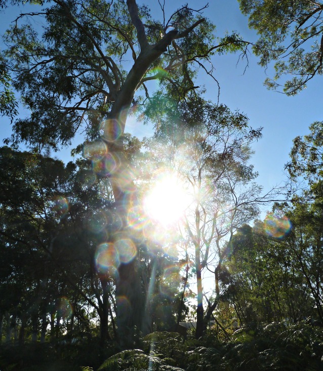 Australian Sunlight