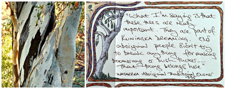 Traditional owners of Watarrka ask that you respect their trees
