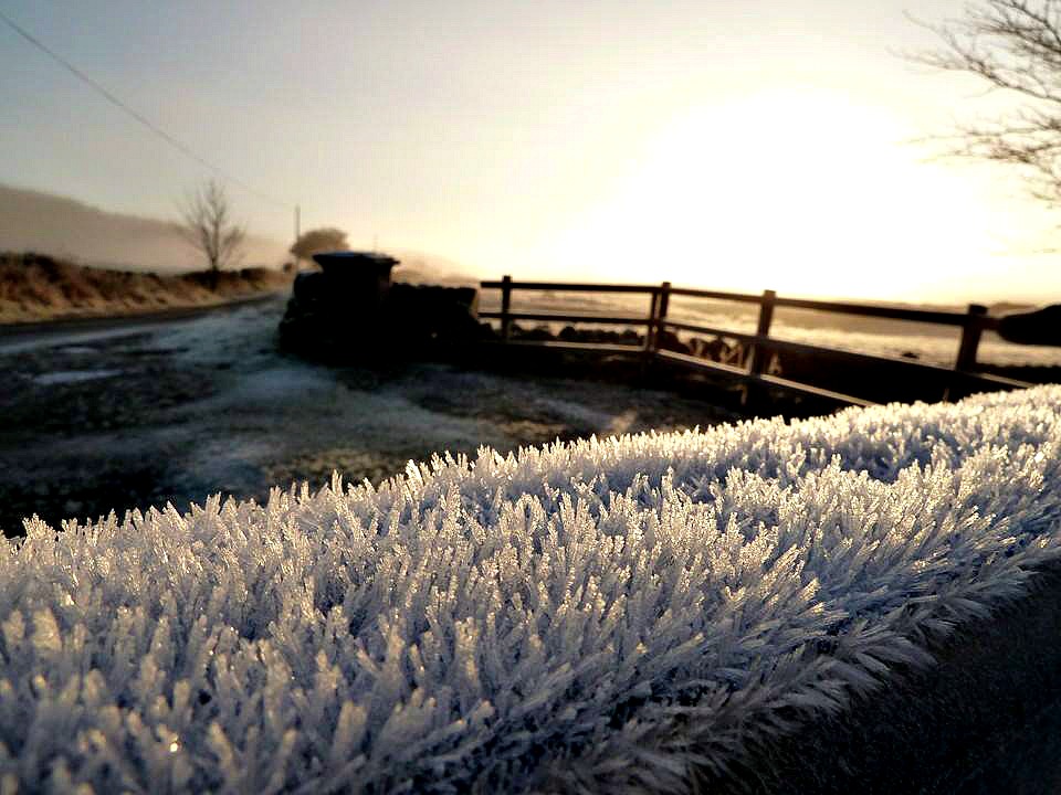 Hoar frost on the top of a gate in Scptland