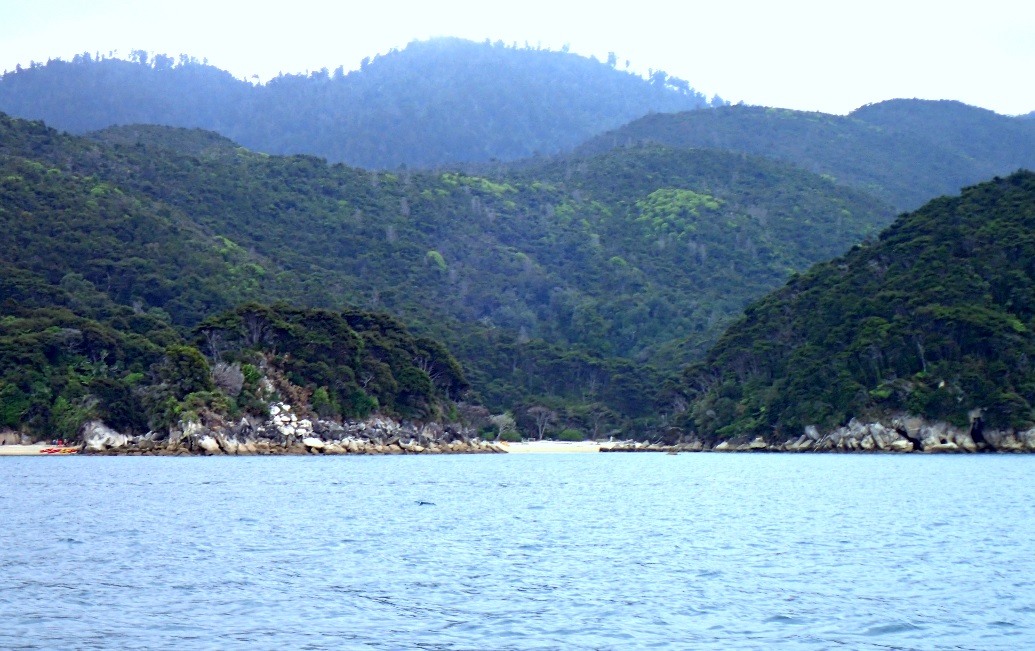Abel Tasman coastline as seen from the water taxi