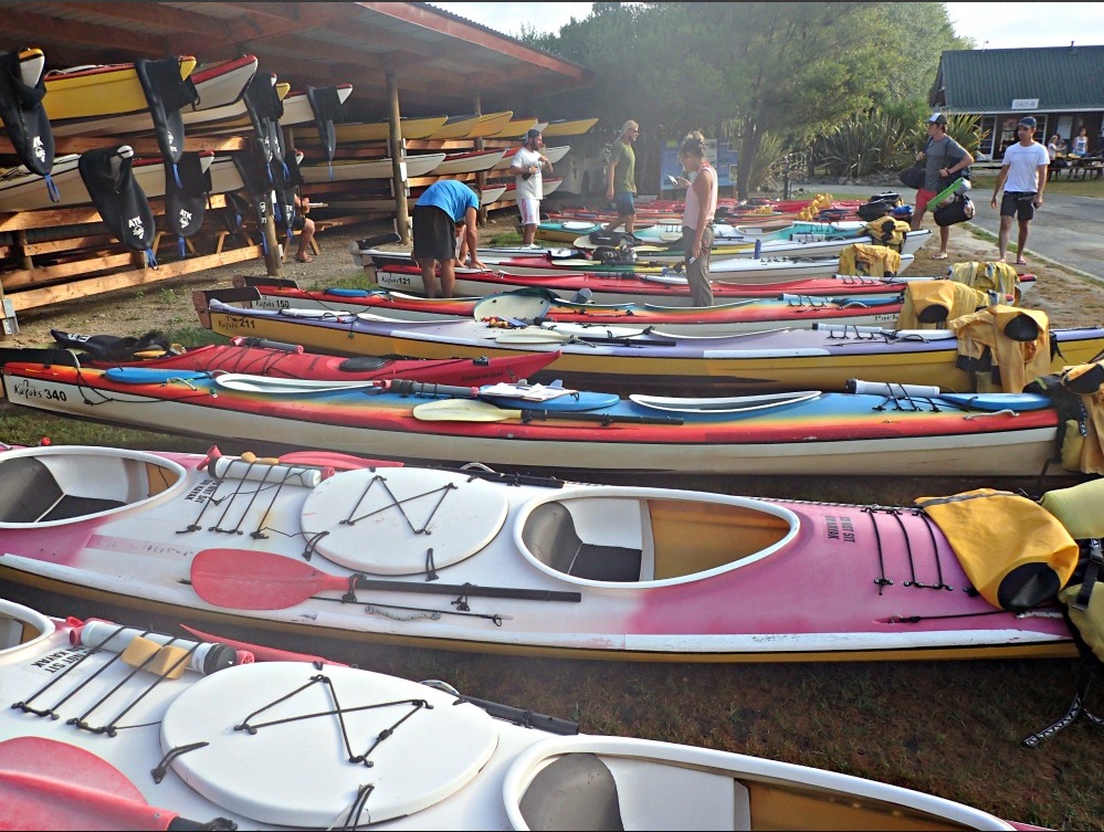 Kayaks lined up ready to go out on our sea adventure